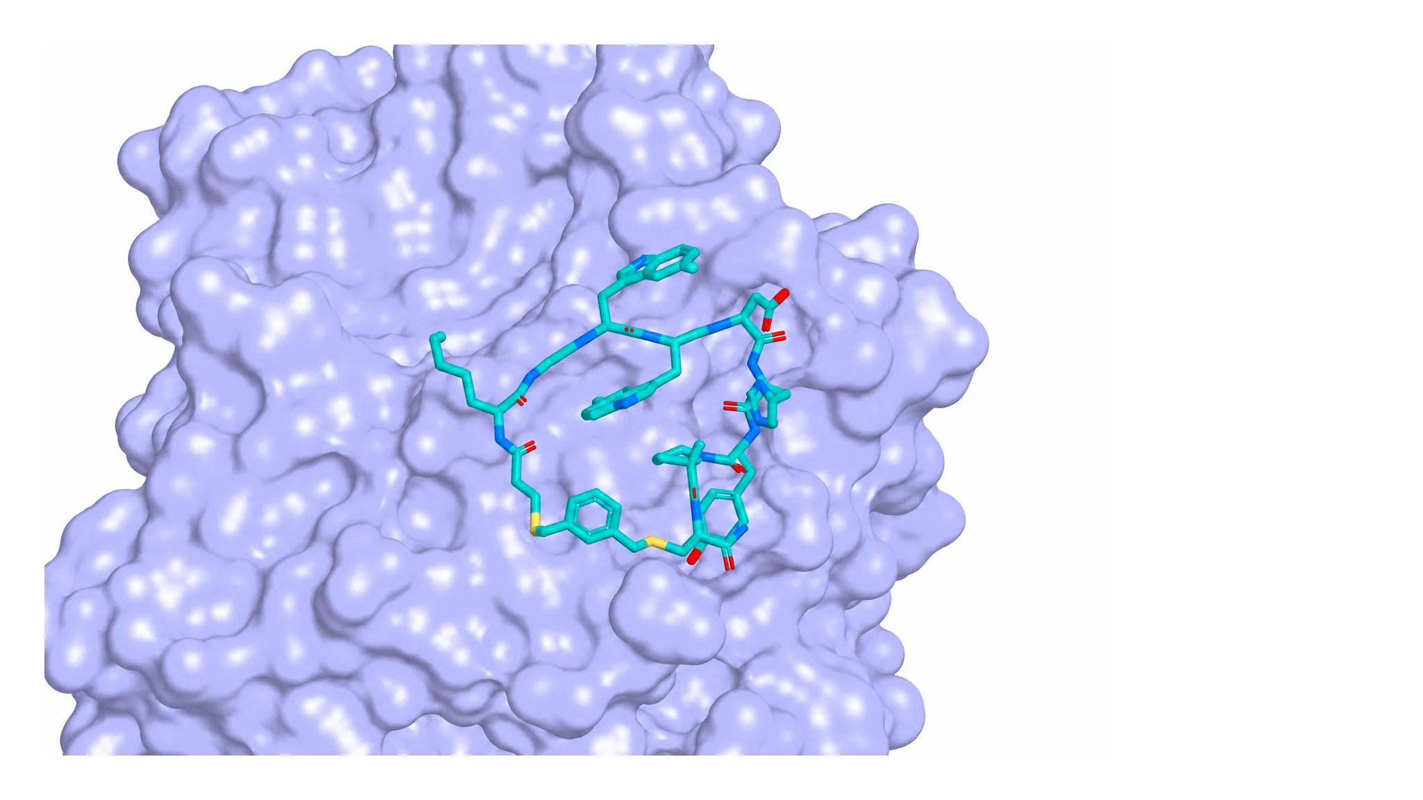 Compound 30如何结合PCSK9 基于PDB 6XIB的原创PyMOL结构图,以浅蓝色surface显示PCSK9,以青绿色sticks显示Compound 30。