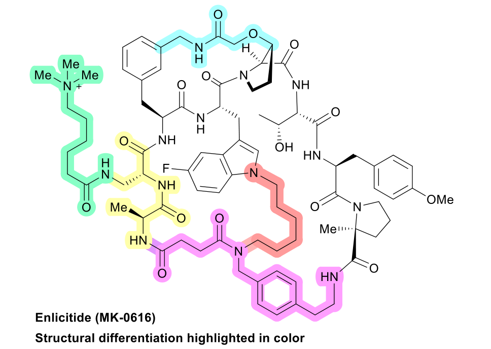 Published color-highlighted Enlicitide structure Enlarged Enlicitide structure cropped from the corrected published Figure 1, with the authors' structural-differentiation colors retained.